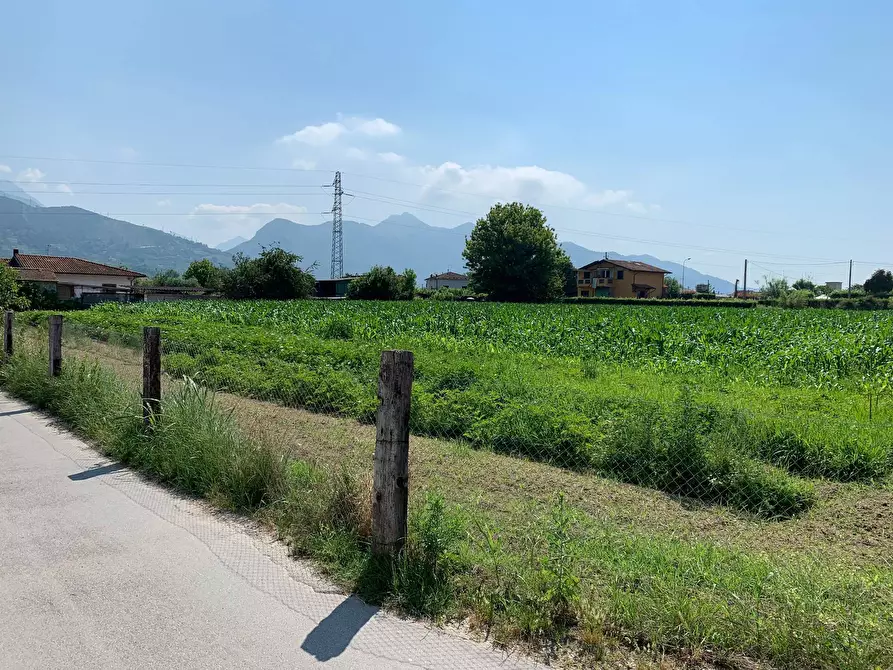 Immagine 7 di Terreno agricolo in vendita  in Via Del Lago Pietrasanta a Pietrasanta