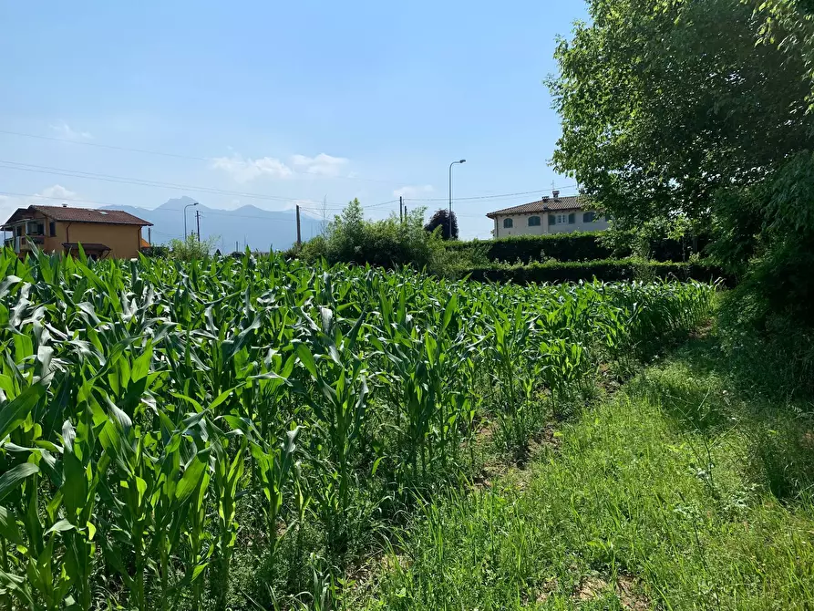 Immagine 9 di Terreno agricolo in vendita  in Via Del Lago Pietrasanta a Pietrasanta