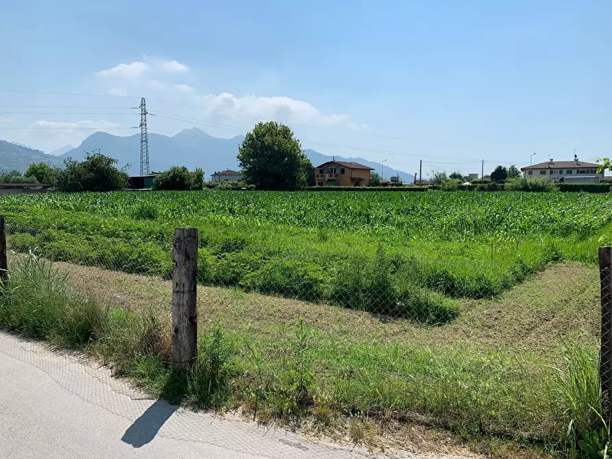 Immagine 12 di Terreno agricolo in vendita  in Via Del Lago Pietrasanta a Pietrasanta