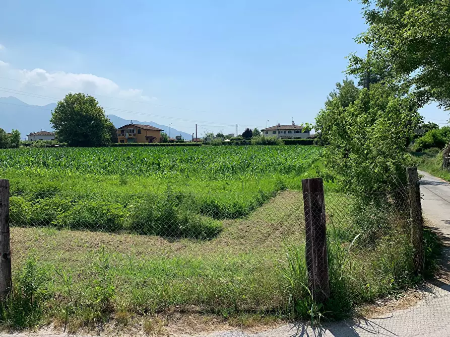 Immagine 13 di Terreno agricolo in vendita  in Via Del Lago Pietrasanta a Pietrasanta