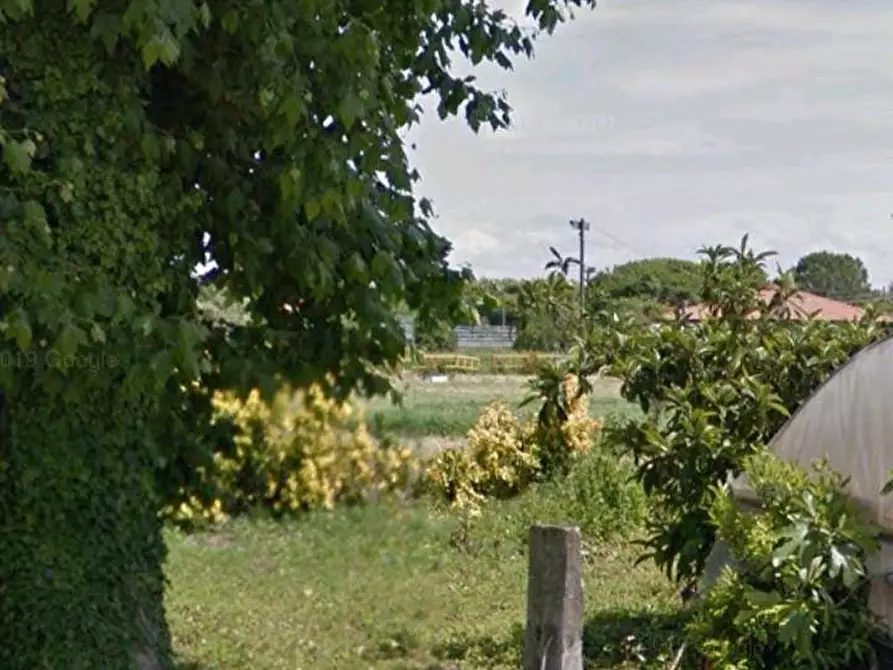 Immagine 14 di Terreno agricolo in vendita  in via fratelli rosselli a Camaiore