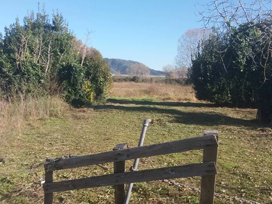 Immagine 8 di Terreno agricolo in vendita  in via fratelli rosselli a Camaiore