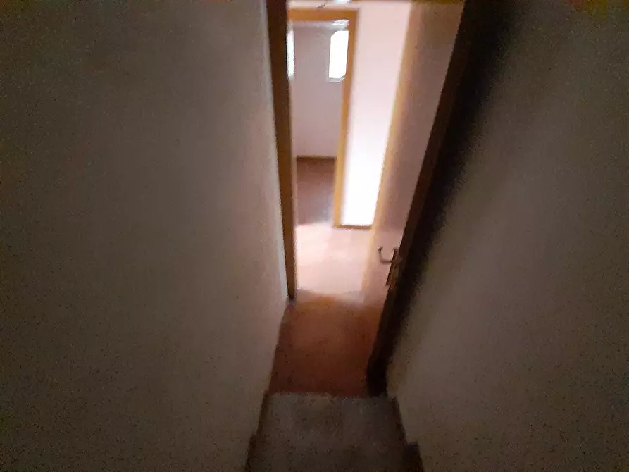 Immagine 33 di Casa indipendente in vendita  in della gronda 77 a Camaiore