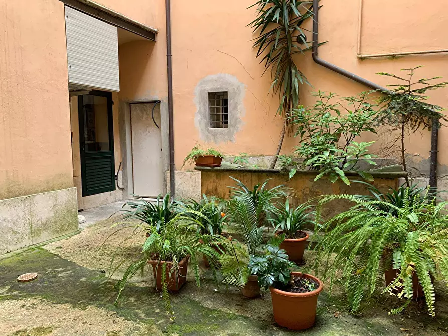 Immagine 20 di Appartamento in vendita  in Via Stagio Stagi 75 a Pietrasanta