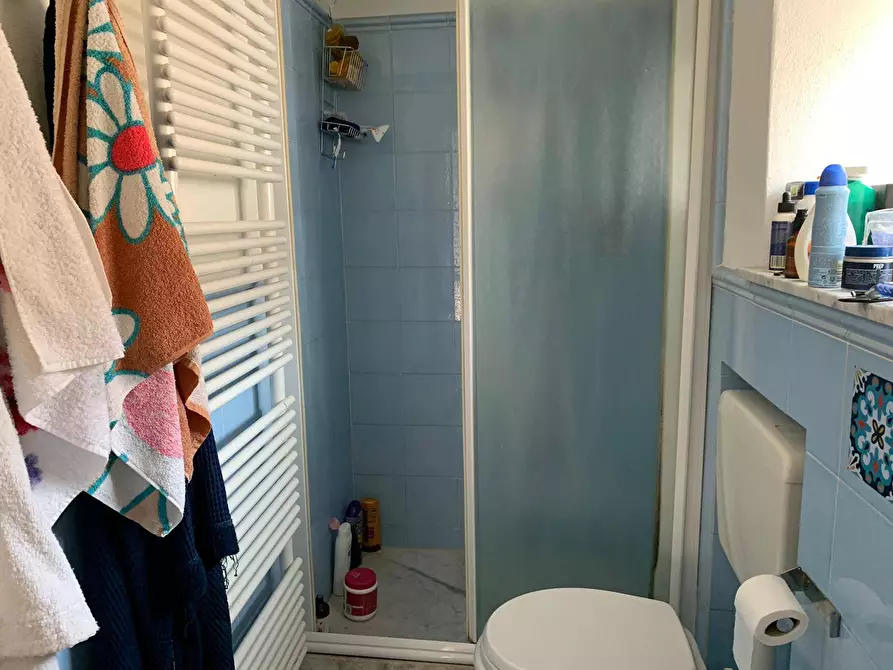 Immagine 10 di Appartamento in vendita  in Via Stagio Stagi 75 a Pietrasanta