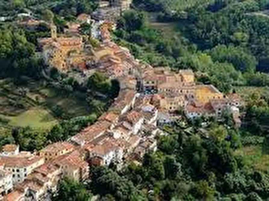 Immagine 8 di Attività commerciale in affitto  in Strada provinciale 55 a Fauglia