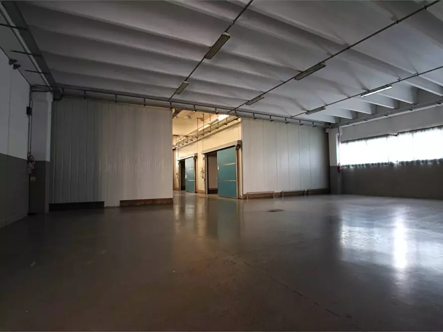 Immagine 13 di Attività commerciale in affitto  in Strada provinciale 55 a Fauglia