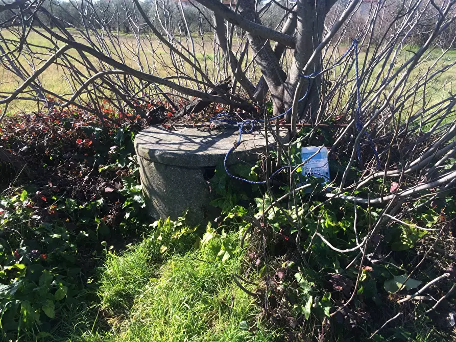 Immagine 2 di Terreno agricolo in vendita  in via carlo ravera a Cascina
