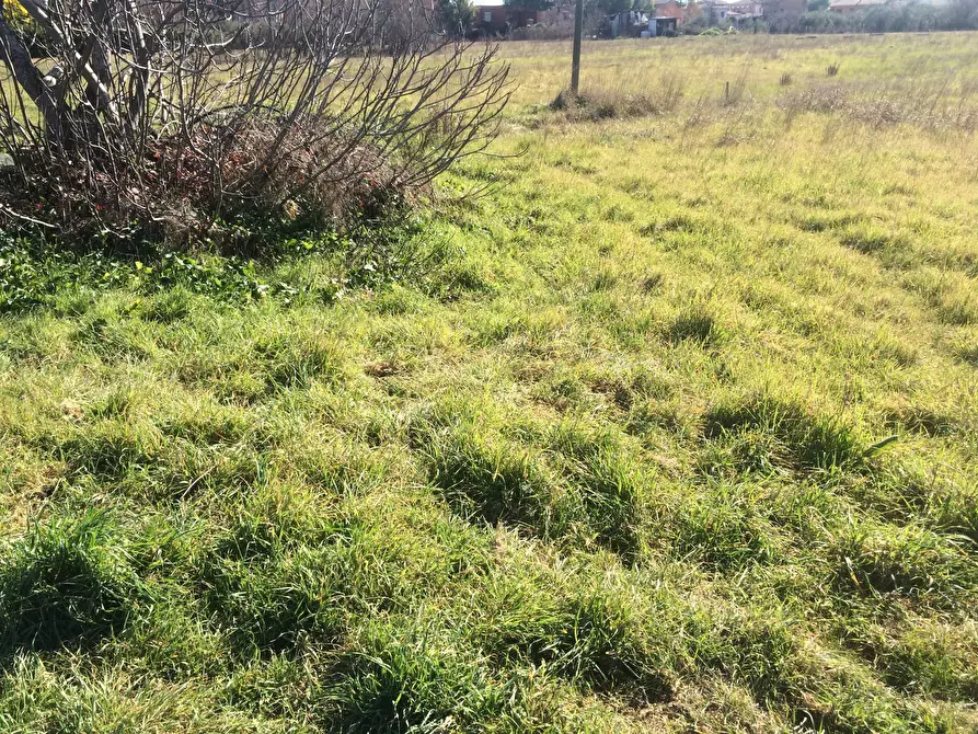 Immagine 3 di Terreno agricolo in vendita  in via carlo ravera a Cascina