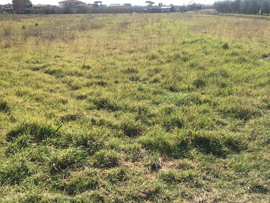 Immagine 4 di Terreno agricolo in vendita  in via carlo ravera a Cascina