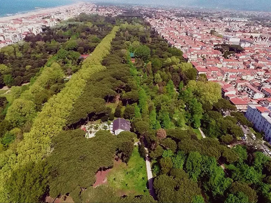 Immagine 15 di Attività commerciale in vendita  in viale Pistelli a Camaiore