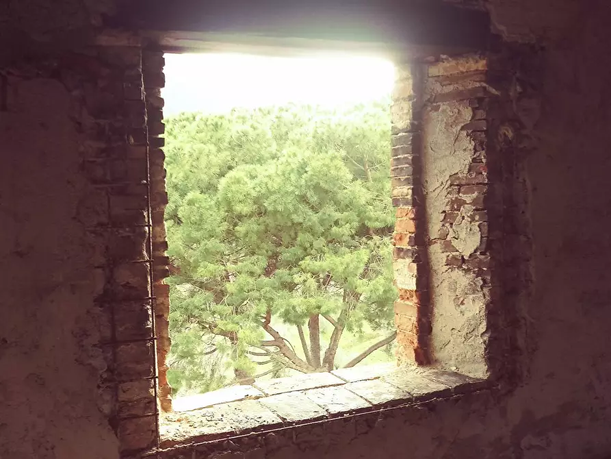 Immagine 44 di Casa indipendente in vendita  in via eugenio III a Calci