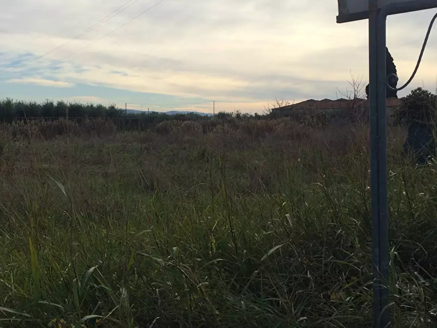 Immagine 2 di Terreno agricolo in vendita  in via giusti a Cascina