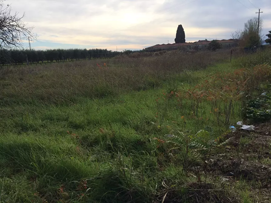 Immagine 3 di Terreno agricolo in vendita  in via giusti a Cascina