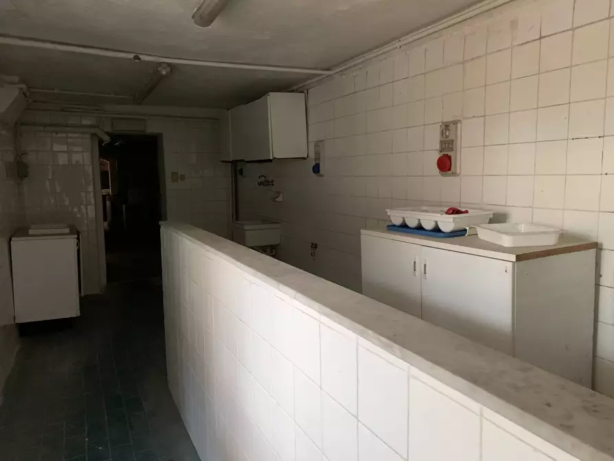 Immagine 38 di Attività commerciale in vendita  in Via Giuseppe Zanardelli a Viareggio