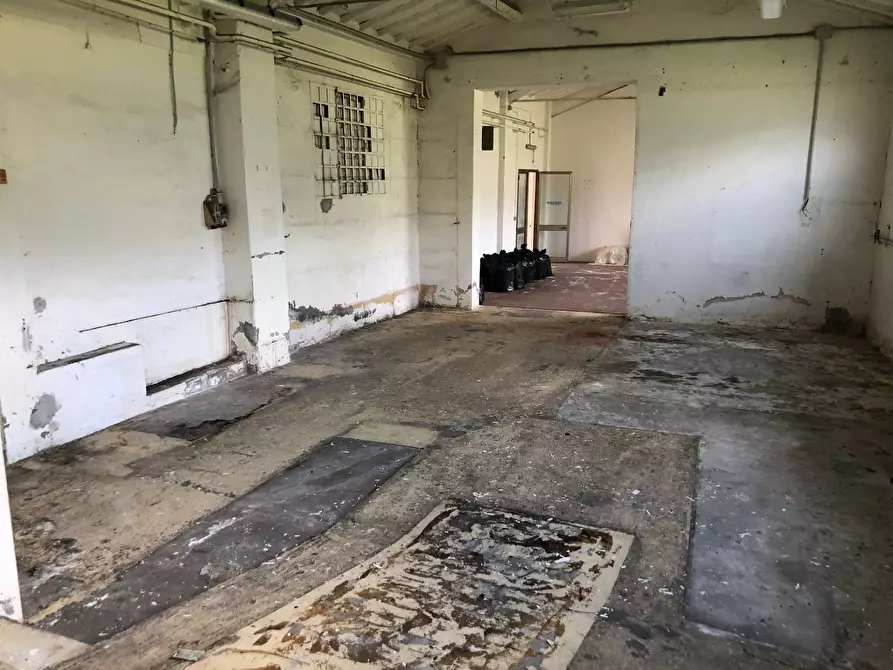 Immagine 28 di Attività commerciale in vendita  in Via Sarzanese Sud a Massarosa