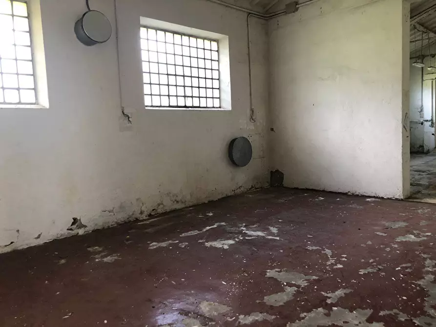 Immagine 29 di Attività commerciale in vendita  in Via Sarzanese Sud a Massarosa