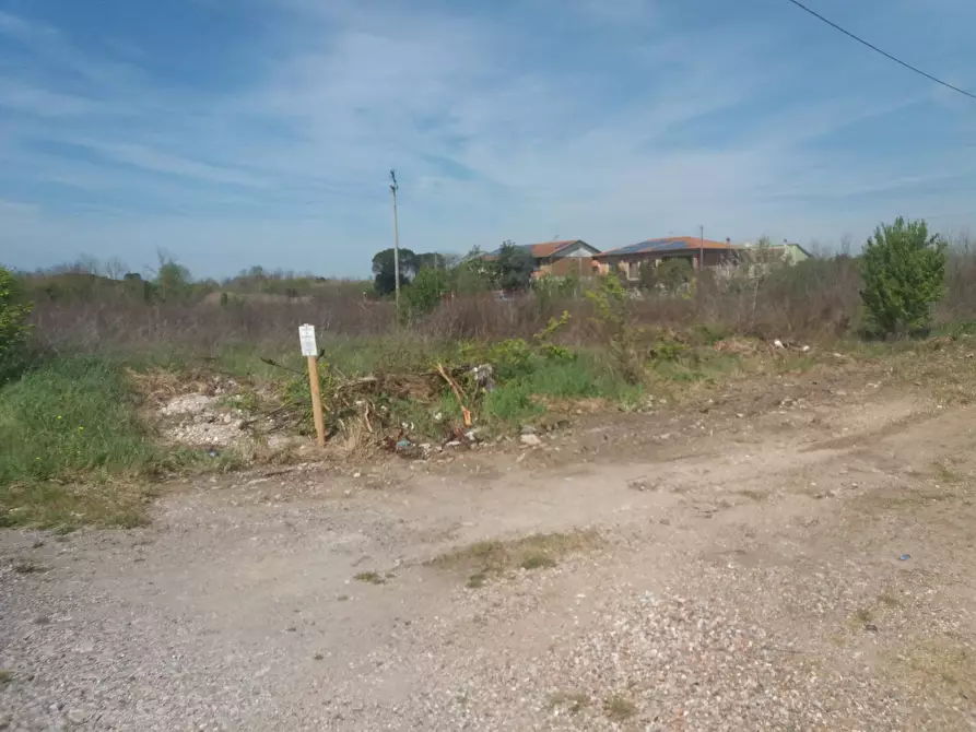 Immagine 2 di Terreno agricolo in affitto  in via martraverso - a San Giuliano Terme