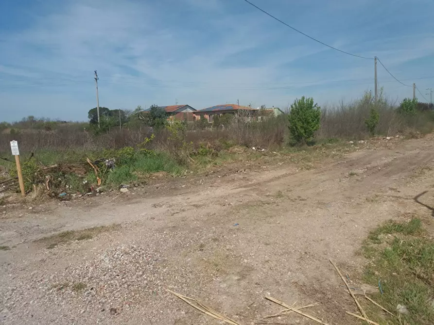 Immagine 3 di Terreno agricolo in affitto  in via martraverso - a San Giuliano Terme