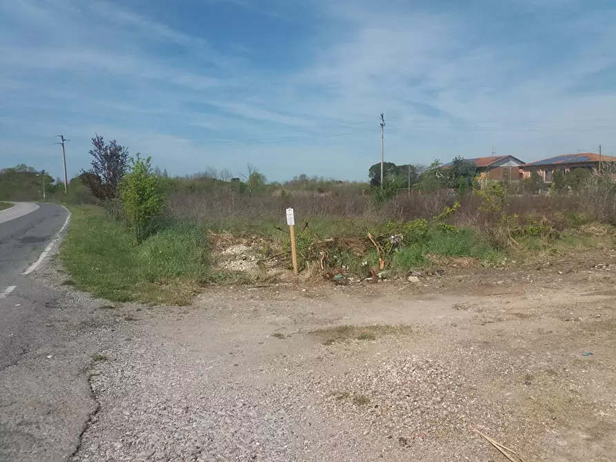 Immagine 4 di Terreno agricolo in affitto  in via martraverso - a San Giuliano Terme