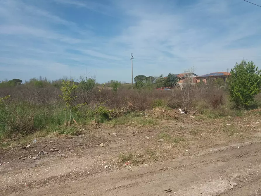 Immagine 5 di Terreno agricolo in affitto  in via martraverso - a San Giuliano Terme