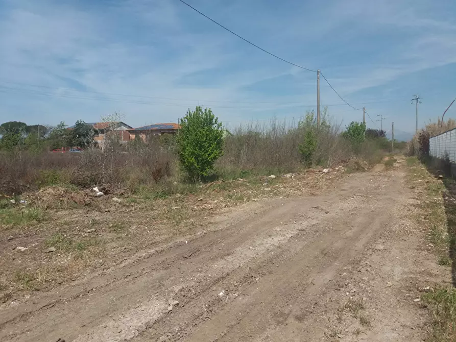 Immagine 6 di Terreno agricolo in affitto  in via martraverso - a San Giuliano Terme