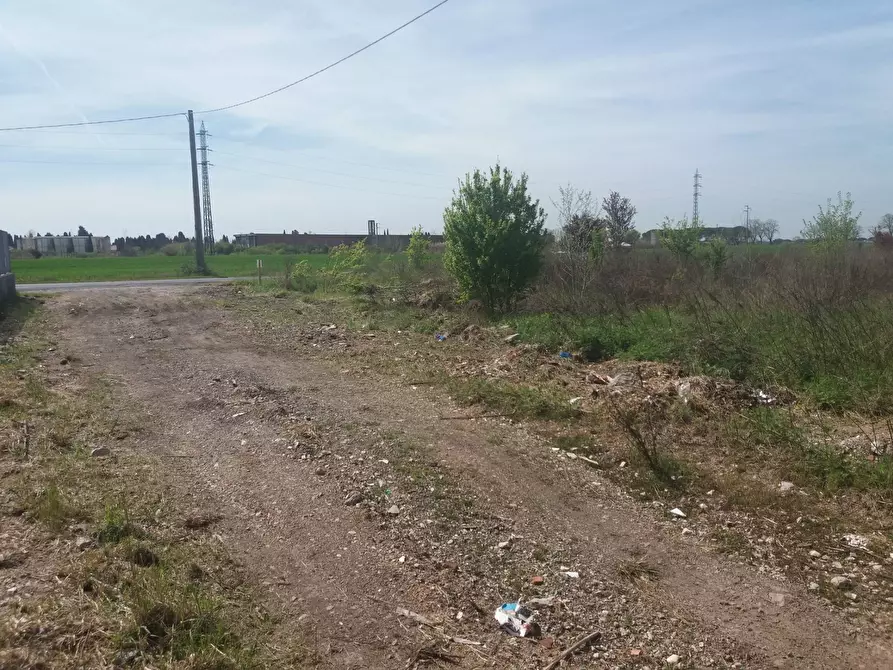 Immagine 7 di Terreno agricolo in affitto  in via martraverso - a San Giuliano Terme