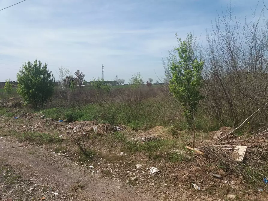 Immagine 8 di Terreno agricolo in affitto  in via martraverso - a San Giuliano Terme