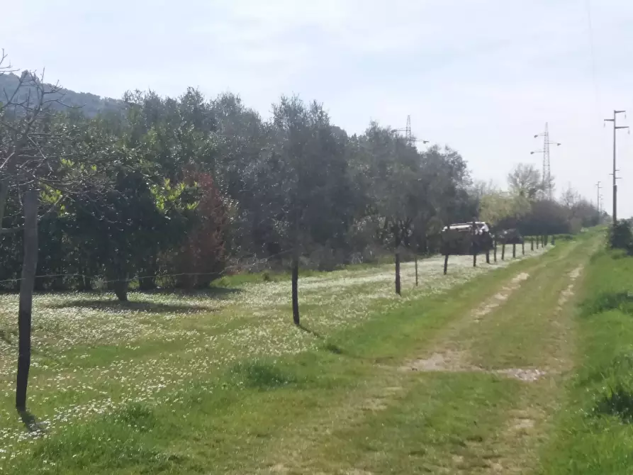 Immagine 5 di Terreno agricolo in vendita  in via don sturzo - a San Giuliano Terme