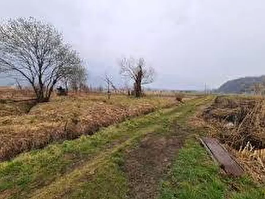 Immagine 2 di Terreno agricolo in vendita  in via don sturzo - a San Giuliano Terme