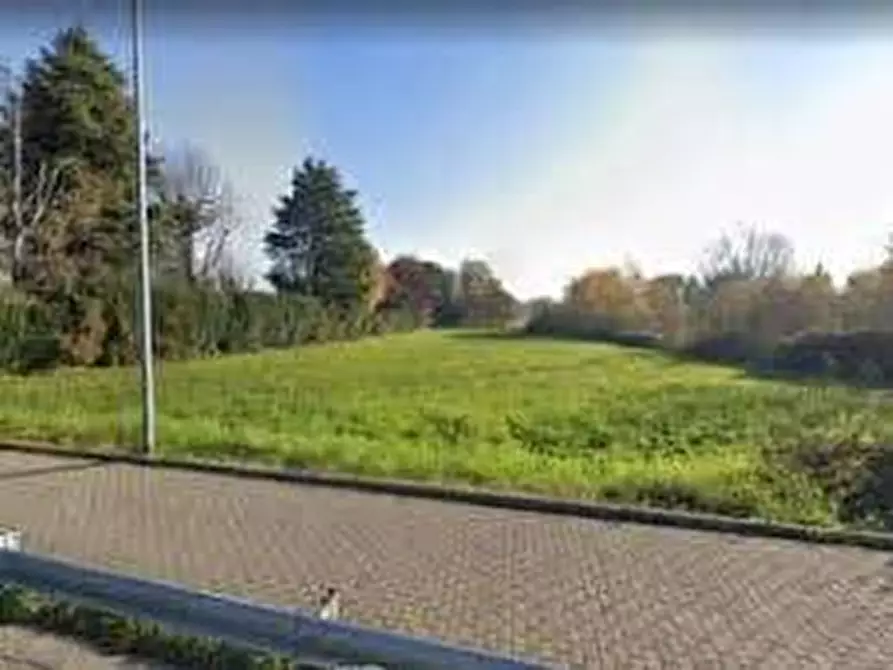 Immagine 3 di Terreno agricolo in vendita  in via don sturzo - a San Giuliano Terme