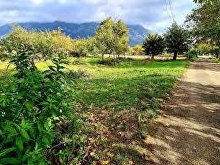 Immagine 4 di Terreno agricolo in vendita  in via don sturzo - a San Giuliano Terme