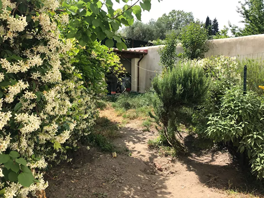 Immagine 5 di Camera in affitto  in via del borghetto 12 a Pisa