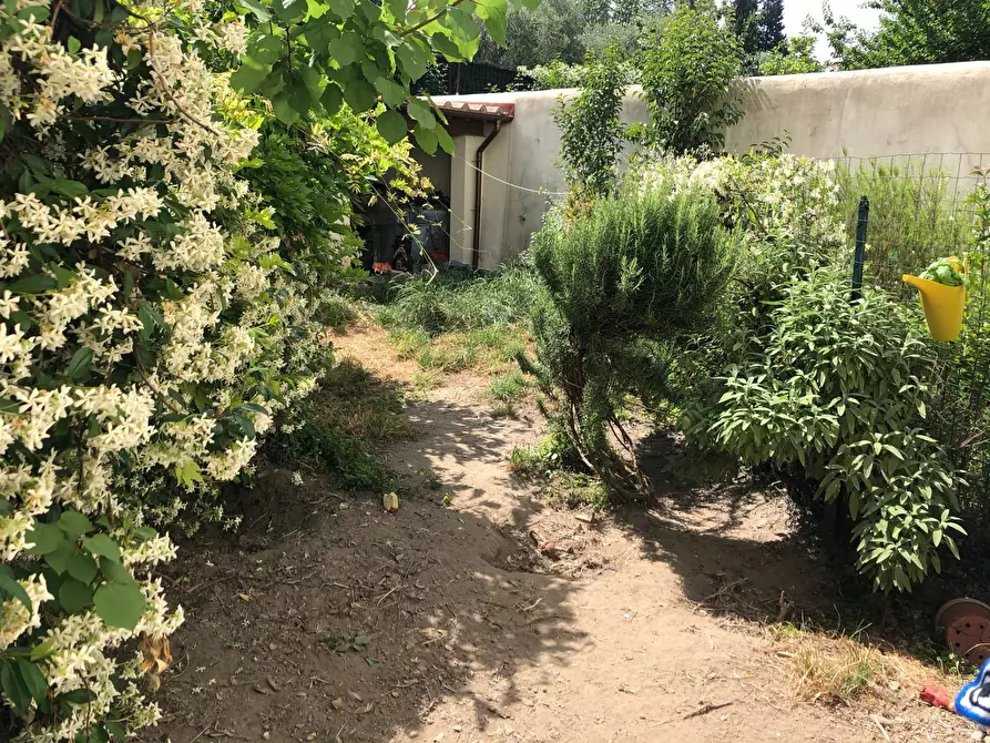 Immagine 6 di Camera in affitto  in via del borghetto 12 a Pisa