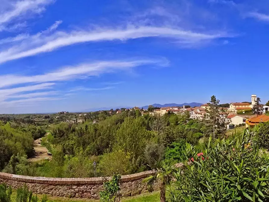Immagine 10 di Terreno agricolo in vendita  in Via Pugnano a Fauglia