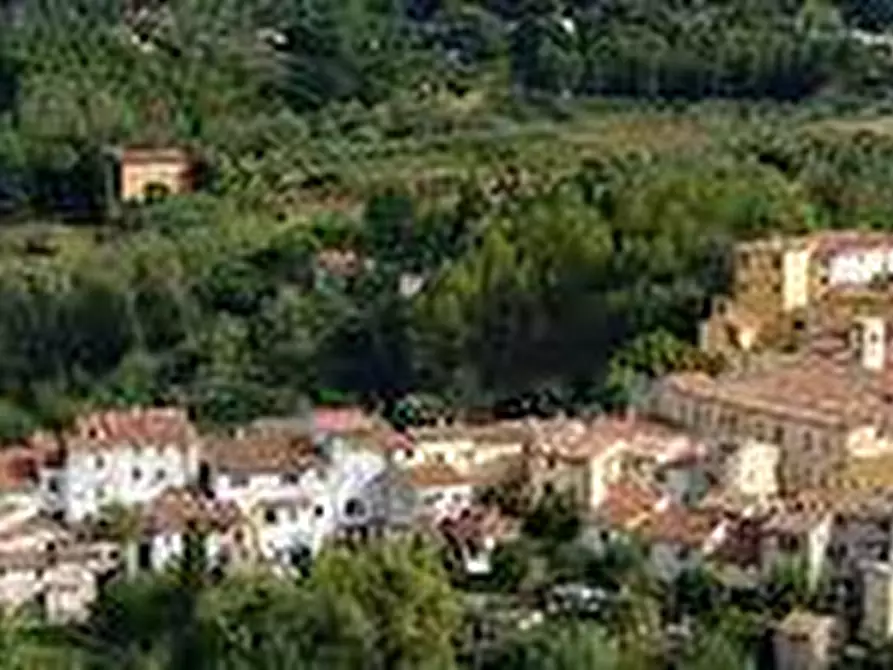Immagine 6 di Terreno agricolo in vendita  in Via Poggio alla farnia a Fauglia