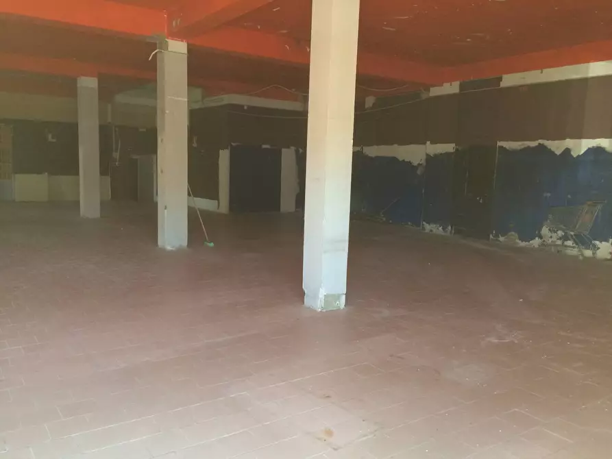 Immagine 3 di Attività commerciale in affitto  in Lungarno Gabriele D'annunzio 43 a Pisa