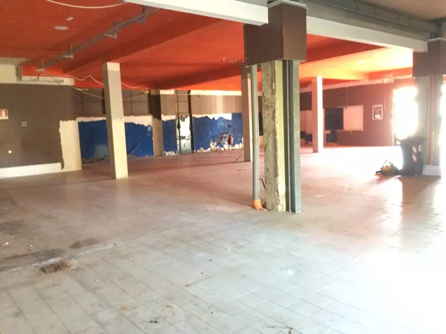 Immagine 1 di Attività commerciale in affitto  in Lungarno Gabriele D'annunzio 43 a Pisa