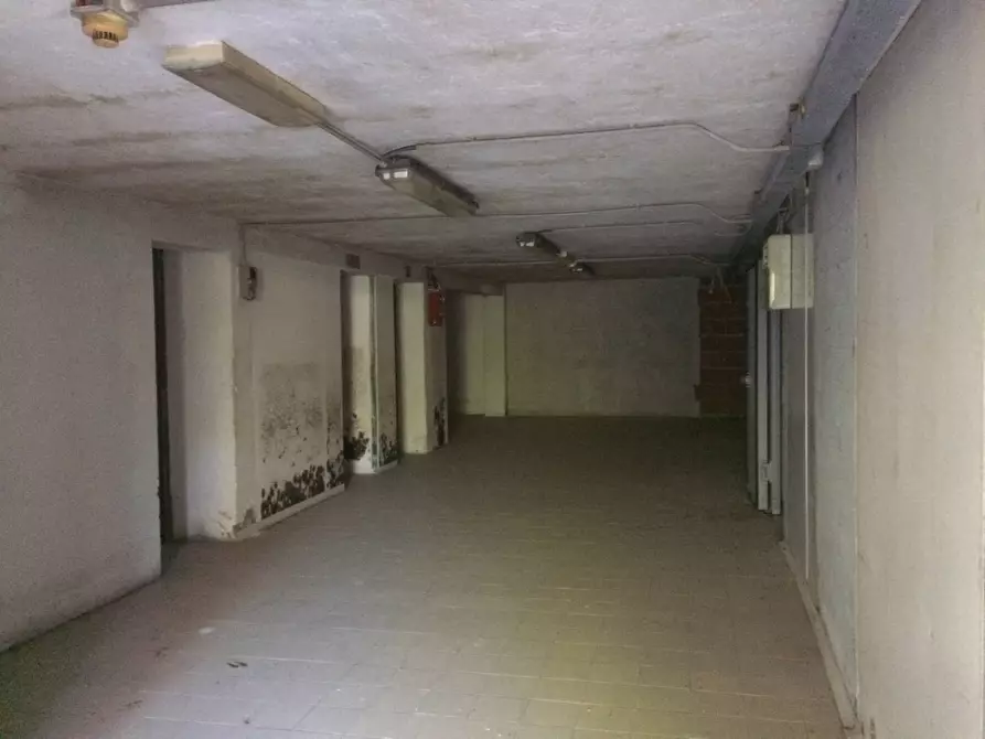 Immagine 4 di Attività commerciale in affitto  in Lungarno Gabriele D'annunzio 43 a Pisa