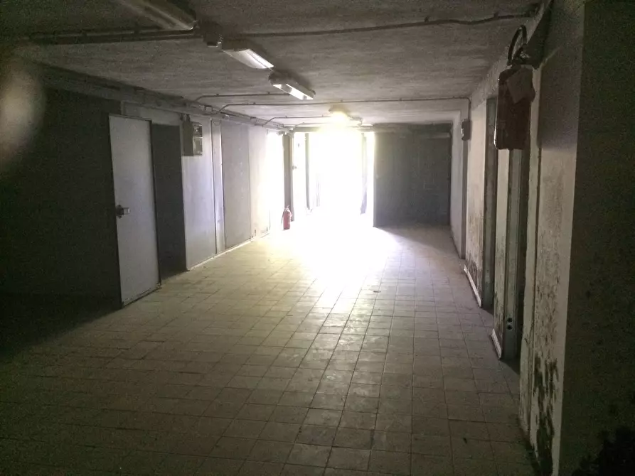 Immagine 5 di Attività commerciale in affitto  in Lungarno Gabriele D'annunzio 43 a Pisa