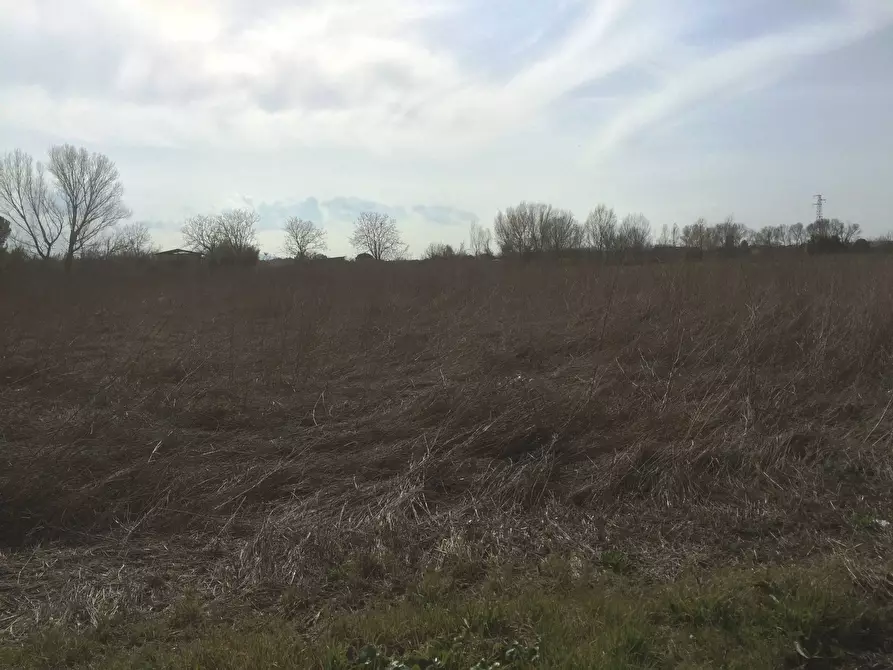Immagine 2 di Terreno agricolo in vendita  in Via Livornese a Pisa