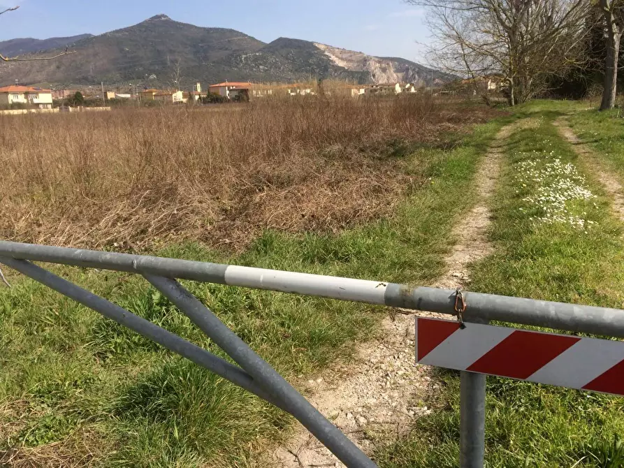 Immagine 5 di Terreno agricolo in vendita  in Via Livornese a Pisa