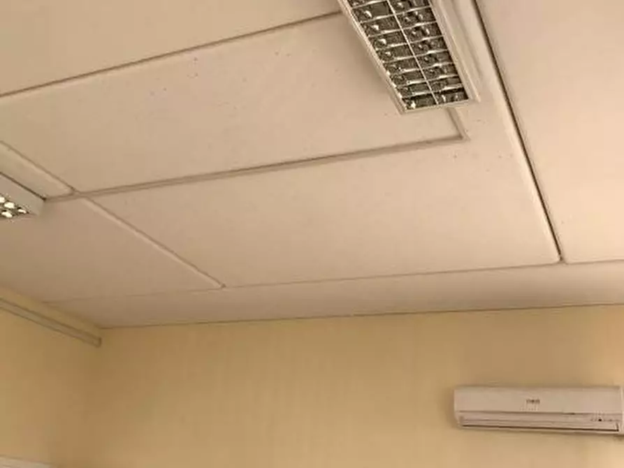 Immagine 6 di Capannone industriale in affitto  in Via Dell'Artigianato a Livorno