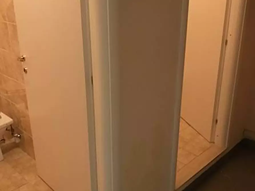 Immagine 17 di Capannone industriale in affitto  in Via Dell'Artigianato a Livorno