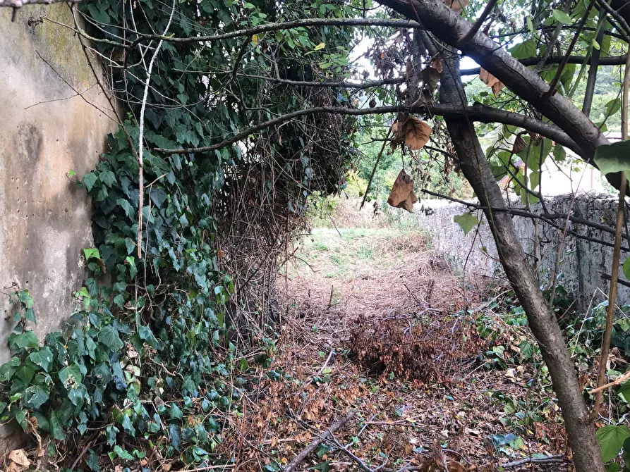 Immagine 2 di Casa indipendente in vendita  in lungomonte pisano 10 a Calci