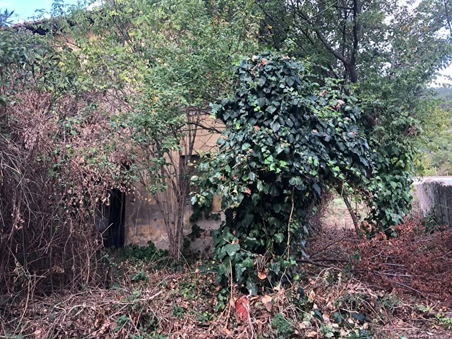 Immagine 3 di Casa indipendente in vendita  in lungomonte pisano 10 a Calci