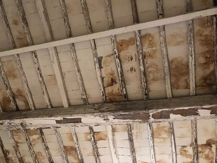 Immagine 15 di Casa indipendente in vendita  in lungomonte pisano 10 a Calci