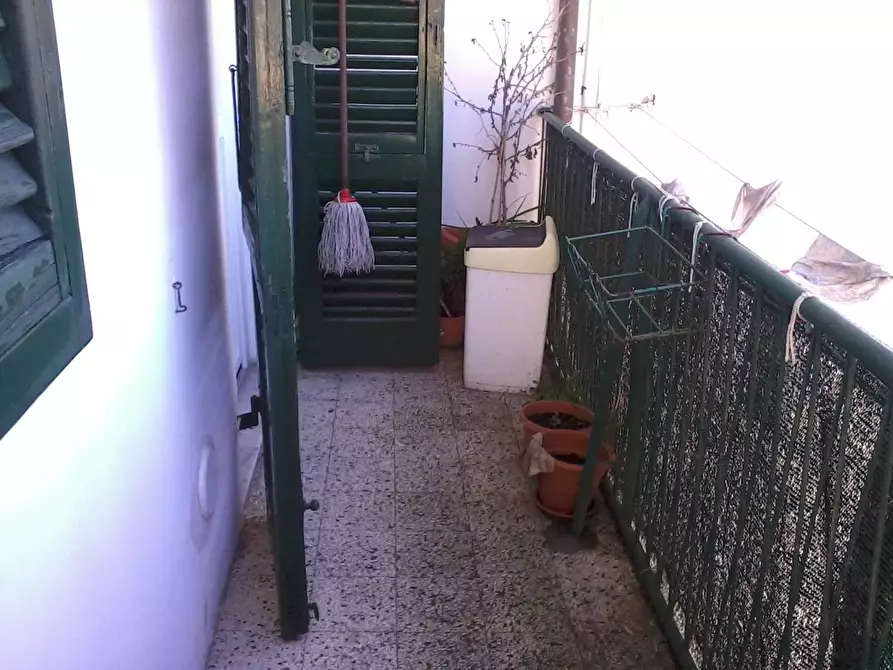 Immagine 6 di Camera in affitto  in via Conte fazio 5 a Pisa