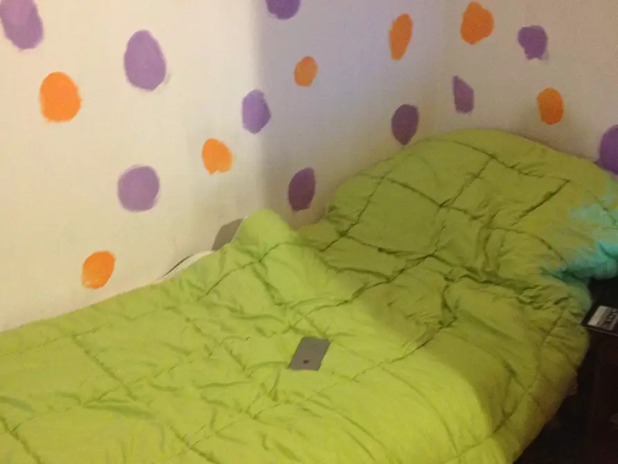 Immagine 8 di Camera in affitto  in Via Borgo Stretto 15 a Pisa