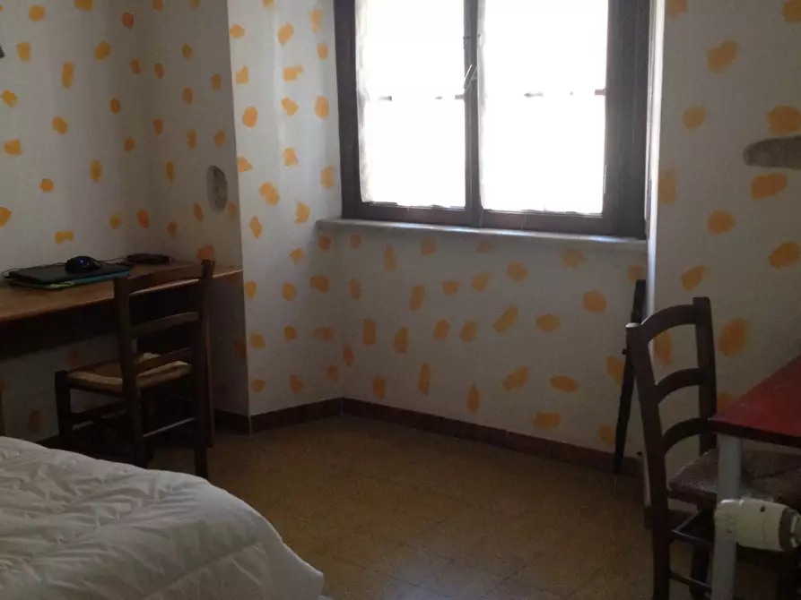 Immagine 11 di Camera in affitto  in Via Borgo Stretto 15 a Pisa